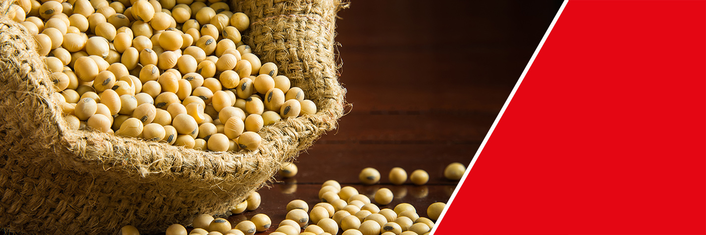 Analysis of Soy Bean Meal